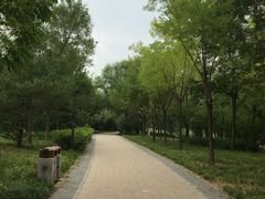 -北坞公园