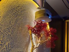 -江南足纪·影院足道·轻奢SPA(笋岗HALO广场店)