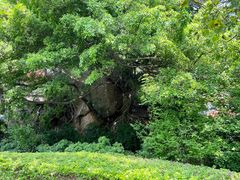 -草庵摩尼教遗址公园