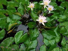 -优游吧斯邹族文化部落