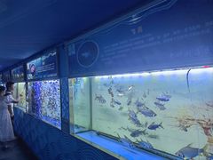 -大明湖海底世界