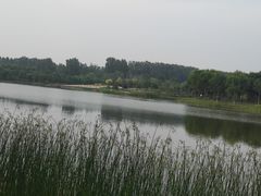 -东郊湿地公园