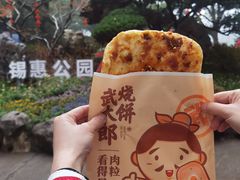 -惠山古镇·寄畅园