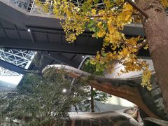 -湖南省地质博物馆