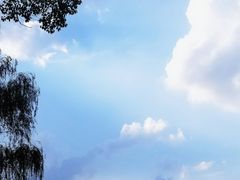 -天鹅湖体育公园