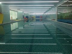 -小小王国亲子游泳俱乐部(锦辉中心)