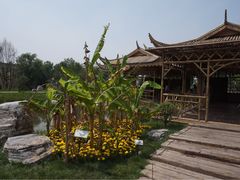 -武清南湖绿博园