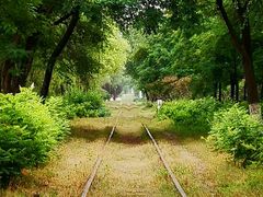 -永定河休闲森林公园