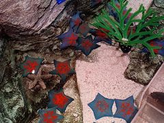 -沈阳海洋探索中心