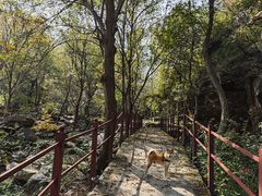 -北京密云天门山风景区