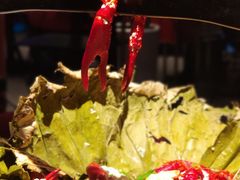 酒酿蒸小龙虾-黄尚皇小龙虾-螃蟹-烧烤工坊(皇后公园店)