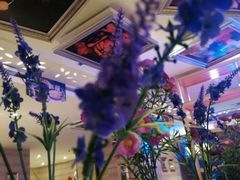 -比格比萨自助(裕源大厦店)