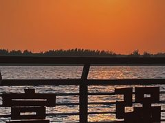 -丁香湖公园