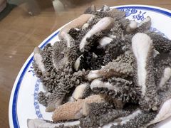 -老爆肚满五香烧牛羊肉
