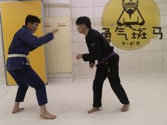 -勇气斑马·巴西柔术&跆拳道(浦东三林店)