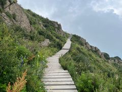 -白草畔自然风景区