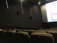 -万象影城(石家庄万象城IMAX激光店)