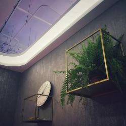 -Priscilla皮肤管理中心