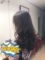 -大象造型