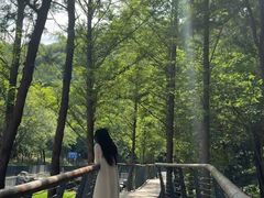 -白水寺森林公园