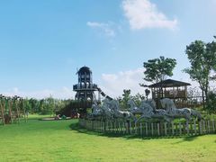 -上海长兴岛郊野公园