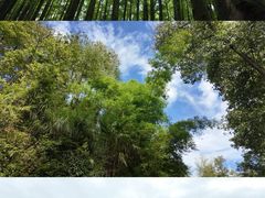 -山王坪喀斯特国家生态公园