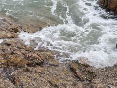 -阳光海岸露营公园
