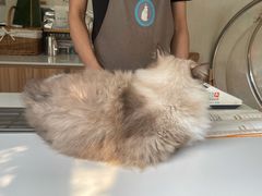 -灯塔咖啡馆BOOK·Coffee Shop
