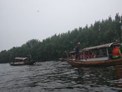 -白洋淀景区
