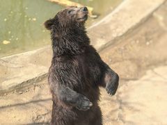 -石家庄市动物园