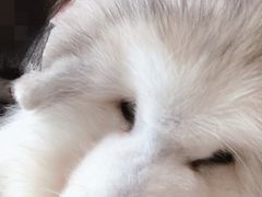 -汪说·狗咖(旺城大厦店)