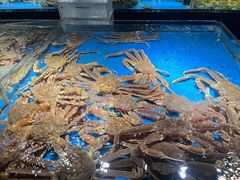 -徐记海鲜(南油永新汇店)