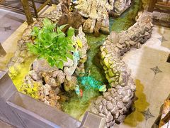 -庭院小酌(瑞莲街店)