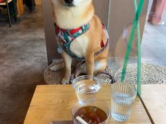 -溯洄咖啡VORTEX COFFEE