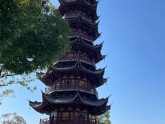 -龙华素斋(龙华路店)