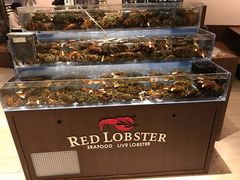 -RED LOBSTER(环球影城大阪店)