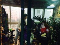 点击看大图 -HD HAIR STYLE