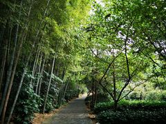 -九龙潭景区