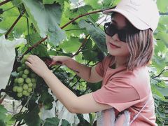 -马陆小张葡萄园农家乐