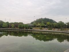 -月湖风景区