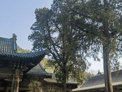 -窦大夫祠