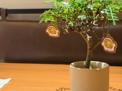 -CURRY YA 熟成咖哩專門店(深圳湾万象城店)