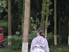 -桤木河湿地公园