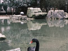 -黔灵山公园