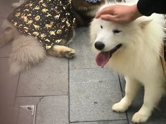 -华谊兄弟（长沙）电影小镇