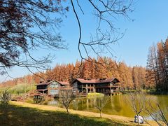 -黄海国家森林公园