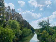 -上海长兴岛郊野公园