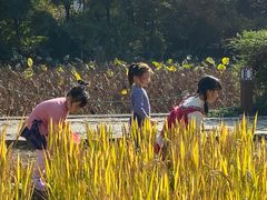 -八卦田遗址公园