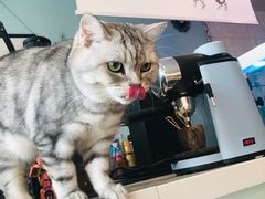 -平行世界·猫咖(首经贸店)