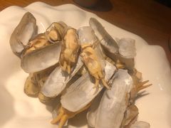 白灼海蛏-必点海鲜·鲅鱼水饺(鞍山西道店)